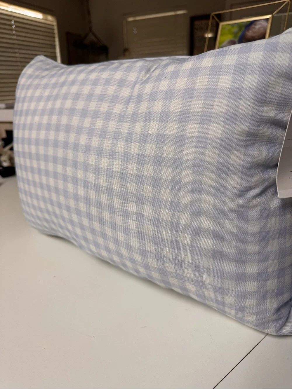 Light Blue Gingham Decorative indoor/outdoor Pillow with insert 14x20